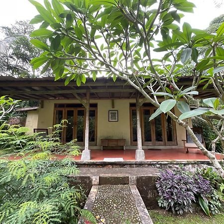 Carik Tangis Boutique Homestay Jatiluwih Exteriér fotografie