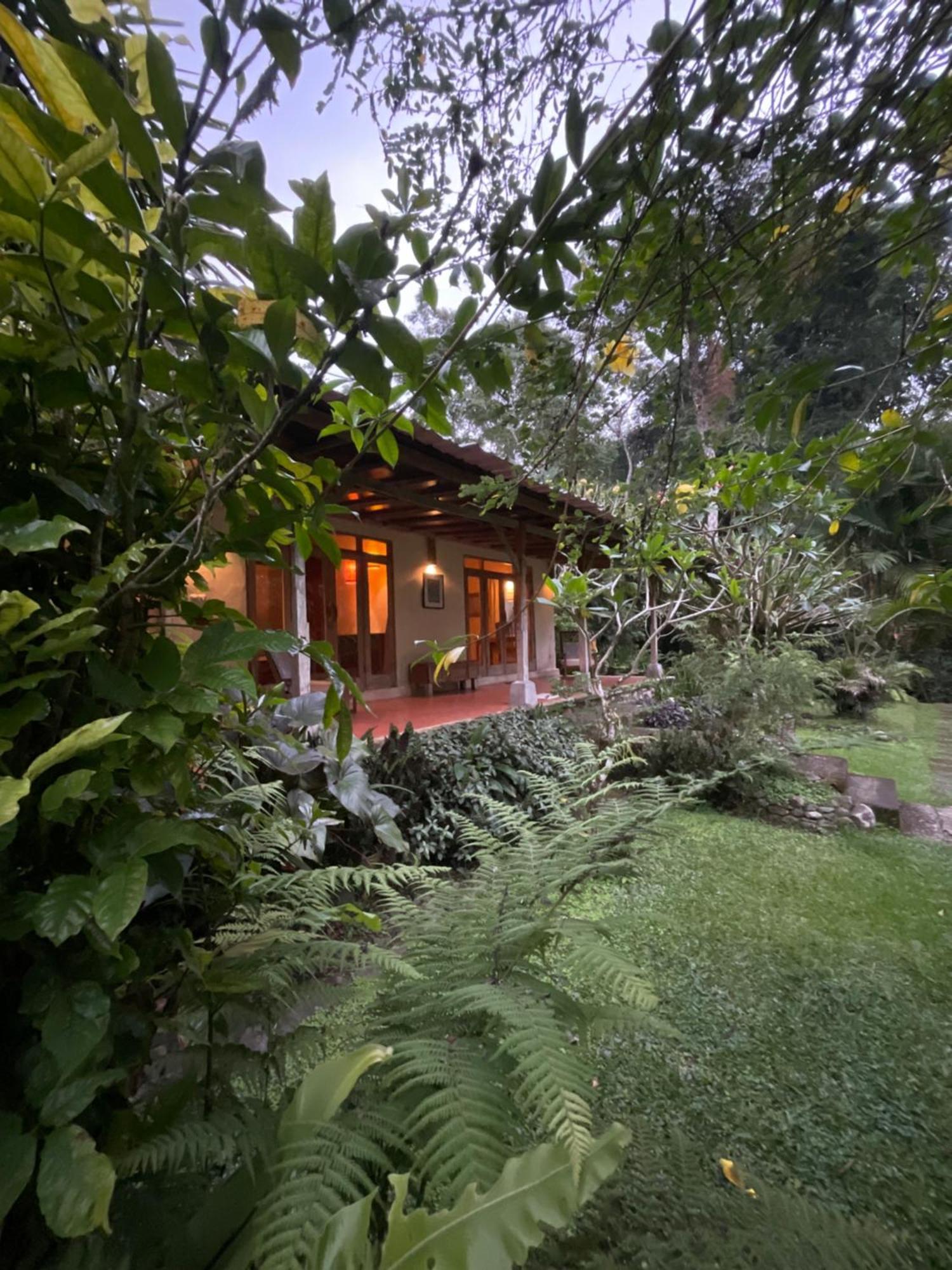 Carik Tangis Boutique Homestay Jatiluwih Exteriér fotografie